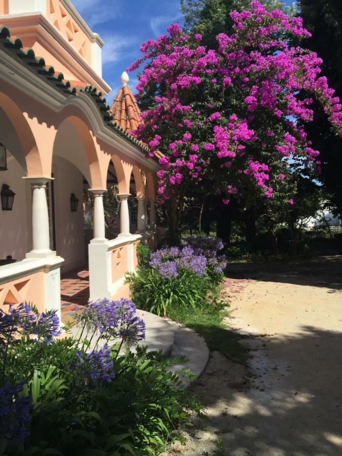 Villa Quinta Da Fogueira Anadia Exterior foto